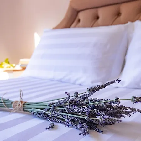 Pelagia Guest house *