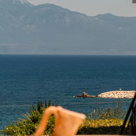 Pelagia 3*