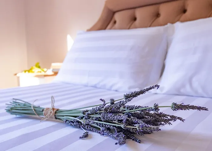 Pelagia Guest house 3*